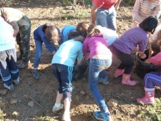 con las manos en las uvas